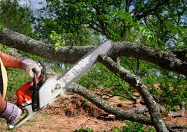 Best Lawn Grading and Leveling  in Kensett, AR